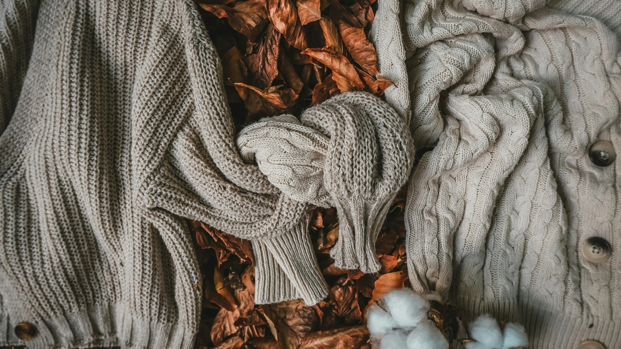 Cable knit zip up sweater styling concept with textured knitwear, scarf, and autumn leaves
